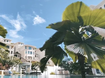 video-ivory-properties